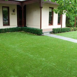 artificial grass on a lawn