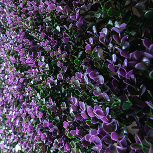 Decorative Wall Purple Buxus 500x500mm - Image 2