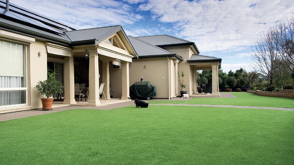 artificial grass